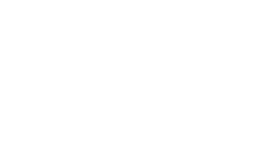 Quick Silver-Logo